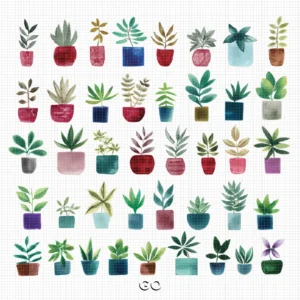 41 HAND PAINTED POT PLANTS