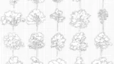 OUTLINED TREES - GO