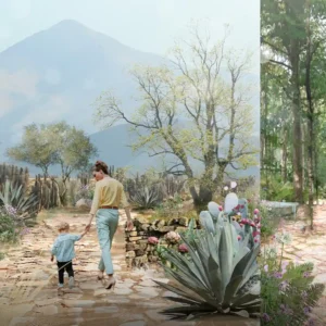 Landscape Visualization